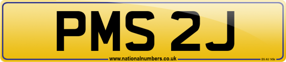 PMS 2J