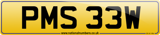 PMS 33W