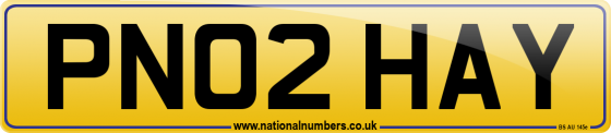 PN02 HAY