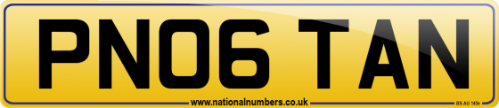 PN06 TAN