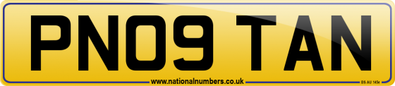 PN09 TAN