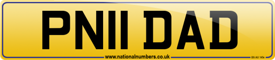 PN11 DAD