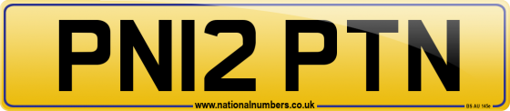 PN12 PTN