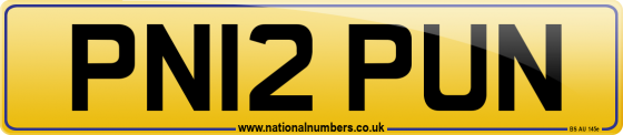 PN12 PUN