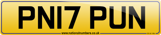 PN17 PUN