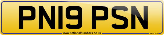 PN19 PSN