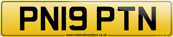 PN19 PTN