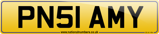 PN51 AMY