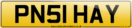 PN51 HAY