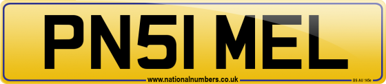 PN51 MEL
