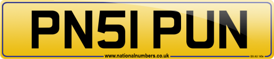 PN51 PUN