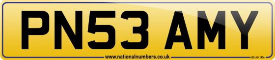 PN53 AMY
