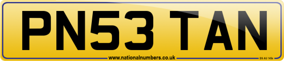 PN53 TAN