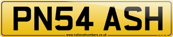 PN54 ASH
