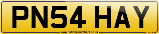 PN54 HAY