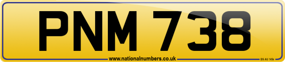 PNM 738