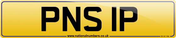 PNS 1P