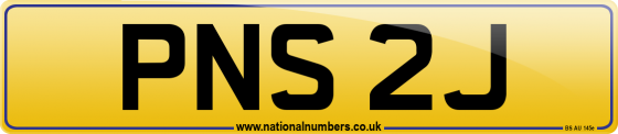 PNS 2J