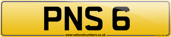 PNS 6