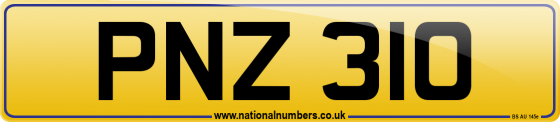 PNZ 310