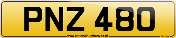 PNZ 480