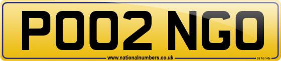 PO02 NGO