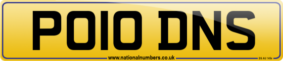 PO10 DNS