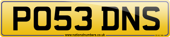 PO53 DNS