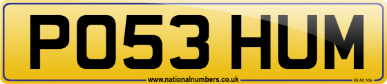 PO53 HUM