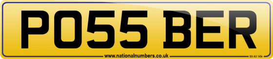 PO55 BER