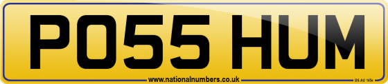 PO55 HUM