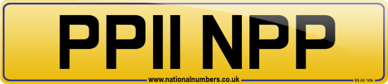 PP11 NPP