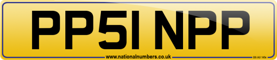 PP51 NPP