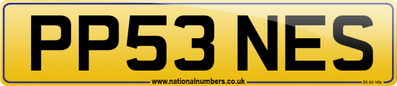 PP53 NES