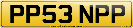 PP53 NPP