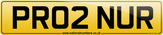 PR02 NUR