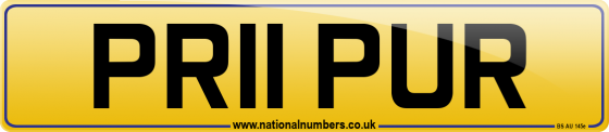 PR11 PUR