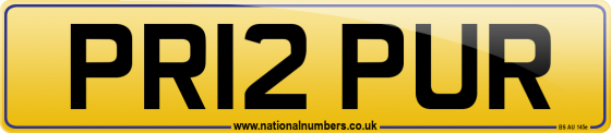 PR12 PUR
