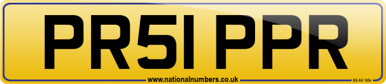PR51 PPR