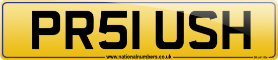 PR51 USH