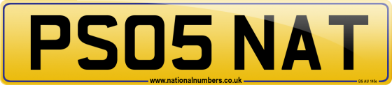PS05 NAT