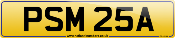 PSM 25A