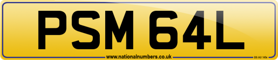 PSM 64L