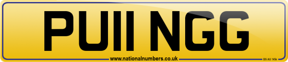 PU11 NGG