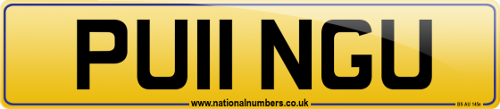 PU11 NGU