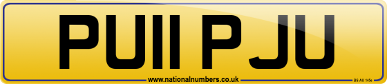 PU11 PJU