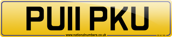 PU11 PKU