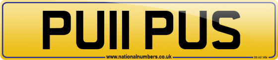 PU11 PUS