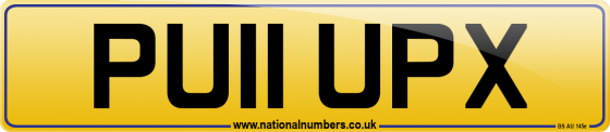 PU11 UPX