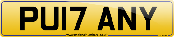 PU17 ANY